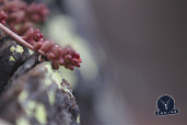 20120405_DIMG6553_802x534.jpg