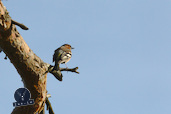 20120502_DIMG7033_802x533.jpg